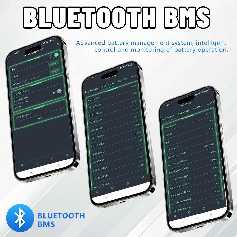 48V 100AH LiFePO4 Battery Pack - Portable Wheeled